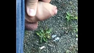 Chubbys Beamy cumshot