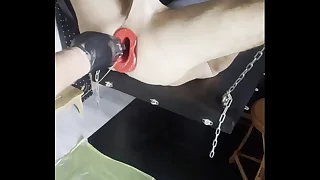 So wird Toms Arsch mit dem Pighole geweitet